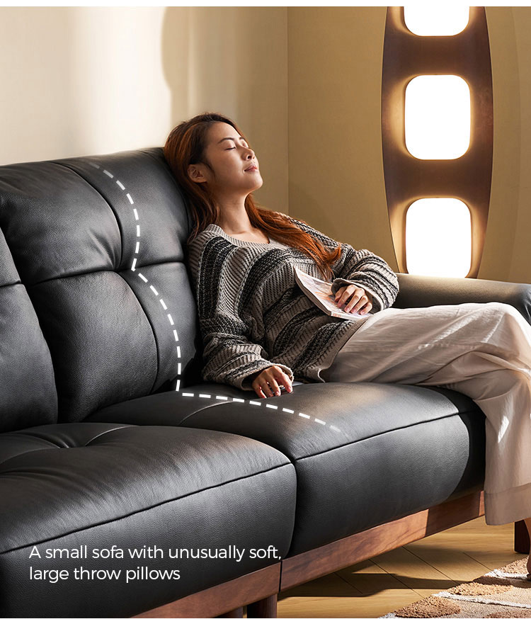leather sofa