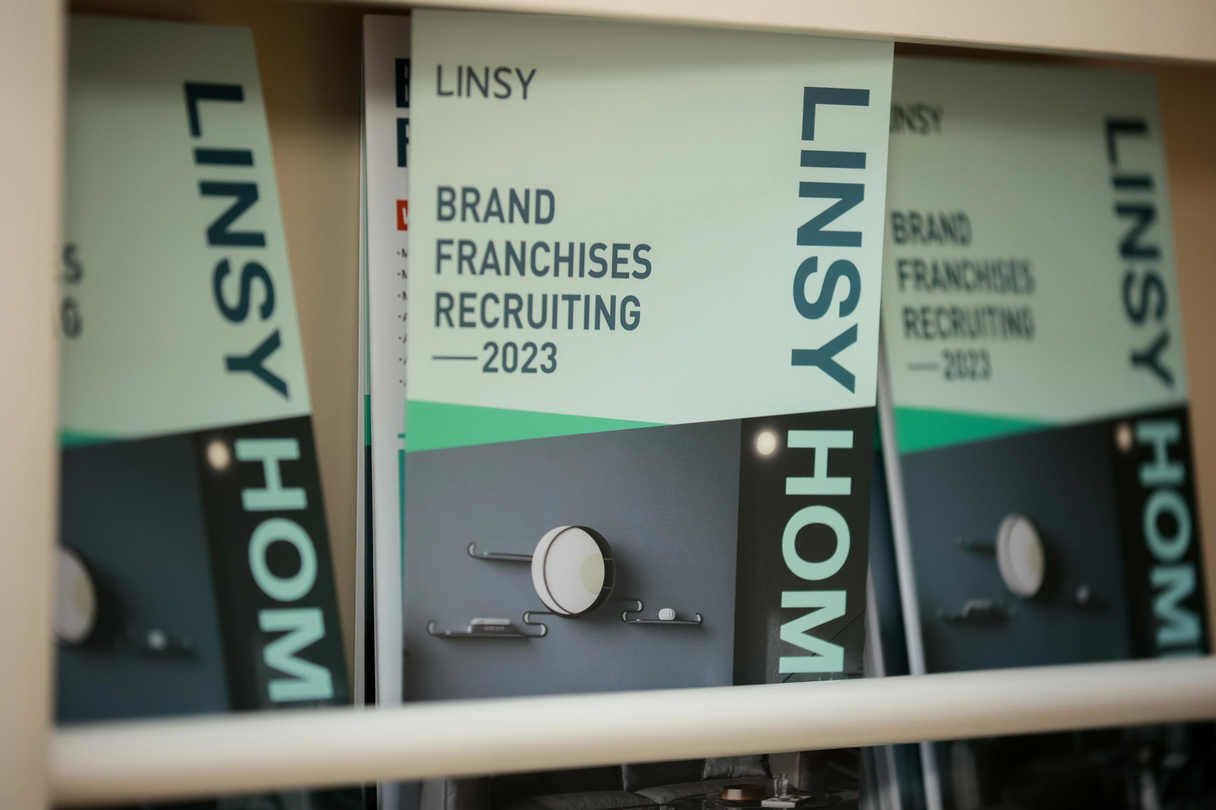 Desenvolvimento da marca LINSY